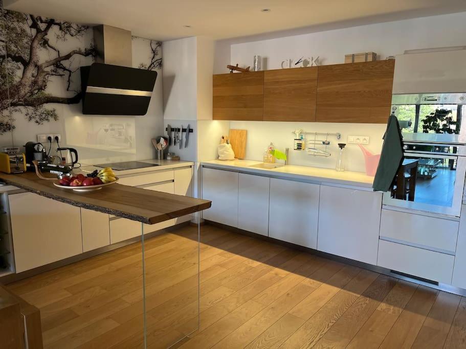 Apartment In Historical Center With Park View Plzeň Exterior foto