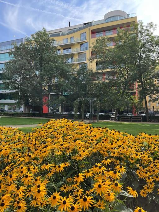 Apartment In Historical Center With Park View Plzeň Exterior foto